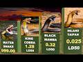 One Drop is Enough! | Deadliest Snake Venom Comparison