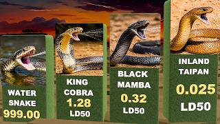 One Drop is Enough! | Deadliest Snake Venom Comparison
