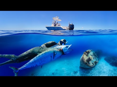 Wahoo for a New Born Baby! Diving Ship Wrecks | Wahoo Catch & Cook