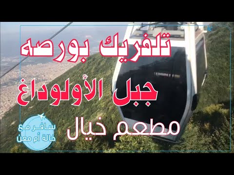 فيديو: تلفريك ثيوفراستوس