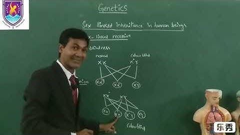 X -recessive disorders || Genetics-NCERT XII Class || By Nagavelli Prasad