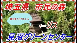 リスの家 埼玉市民の森 見沼グリーンセンター リスの家 埼玉市民の森 見沼グリーンセンター