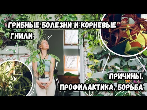 Грибные болезни растений