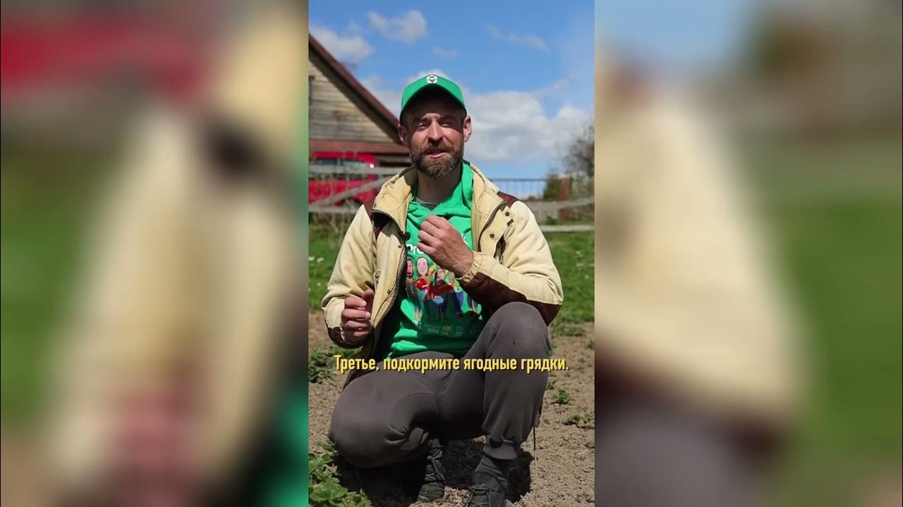 Удобрение комплексное жидкое Белвито для клубники, 470 мл. - YouTube