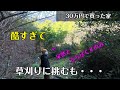 山奥の朽ちた家を買ったら想像以上に大変だった【30万円で買った別荘】