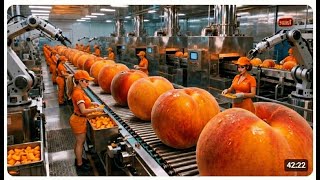 Inside a Modern Peach Factory Process 🍑 | From Farm to Canned Peaches – The Whole Process