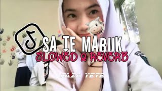 DJ SA TE MABUK X TELOLET (Slowed \u0026 Reverb) 🎧