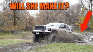 MUDDING WITH LIFTED TRUCKS IN THE BEST MUD!  *DAILY DRIVERS*