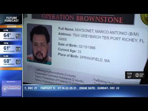Pasco County Sheriffs Office Arrest Inquiryerror 404 2