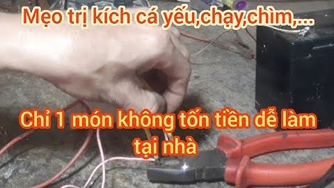 Mẹo trị kích cá yếu, cá chạy, cá chìm...dễ làm tại nhà, không tốn tiền...