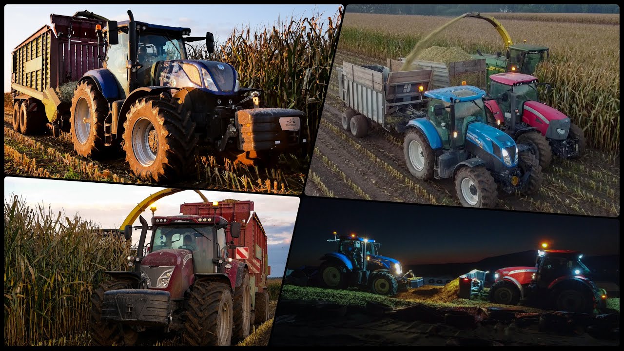 ☆Oporowa Kukurydza na kiszonkę w GR Soszyński☆Pług własnej roboty?!☆4 Taczki vs 100 ha?!☆Całodobowo☆