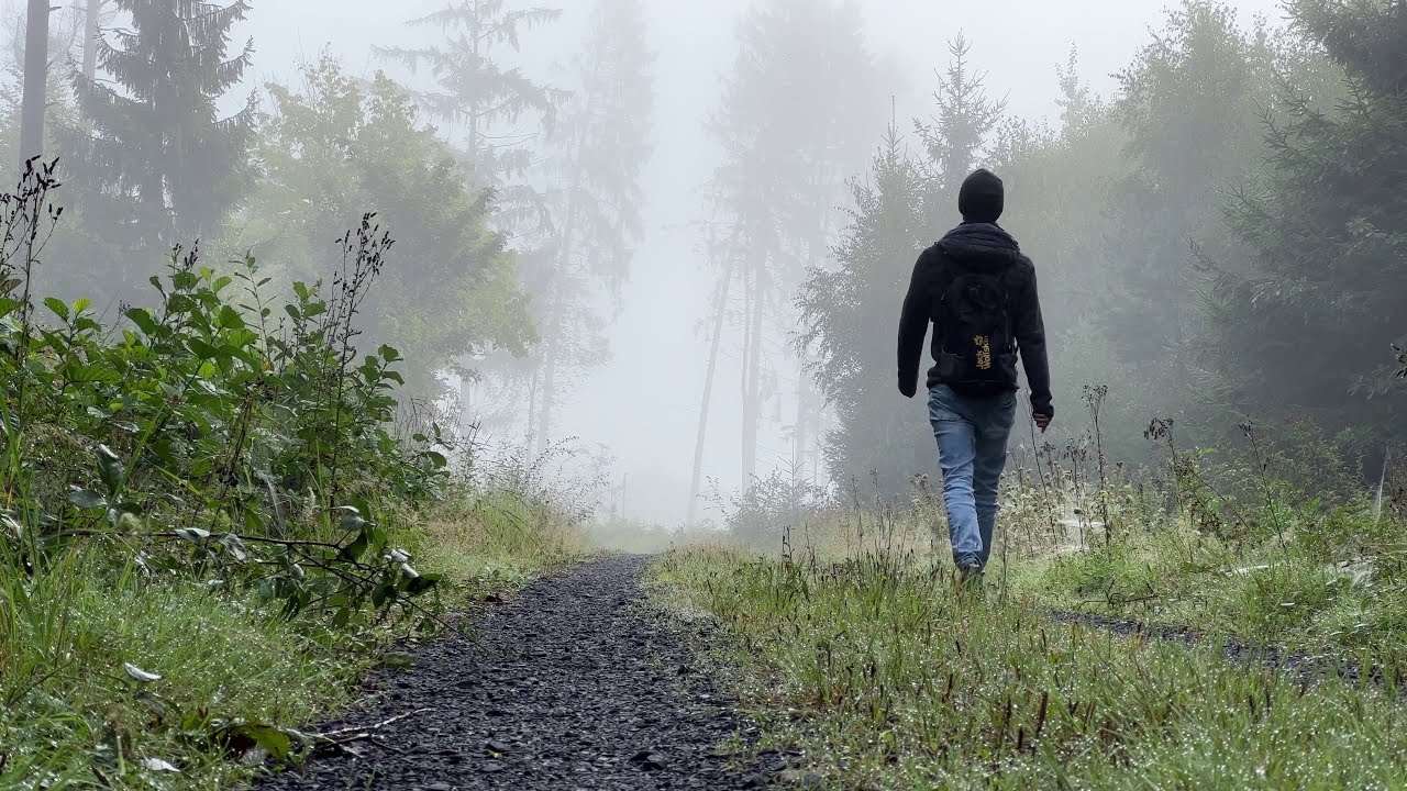 Magical Ambient Hike Through Morning Mist 
