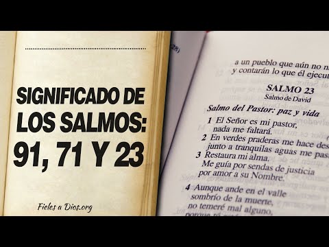 🙏 Salmo 91, Salmo 71 y Salmo 23, LOS MEJORES SALMOS PARA LA PROTECCIÓN 📖