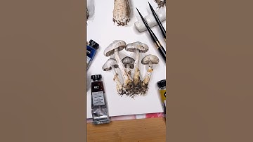Realistic watercolor mushrooms #artwork #mushroom #painting #watercolorart #botanical #3dart #fungi