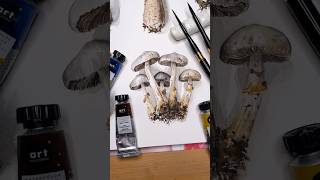 Realistic watercolor mushrooms #artwork #mushroom #painting #watercolorart #botanical #3dart #fungi