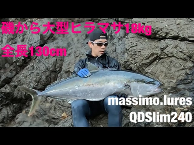 ヒラマサキャスティング2022冬】磯から大型ヒラマサ18Kg！全長130cm