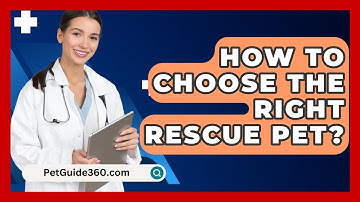 How To Choose The Right Rescue Pet? - PetGuide360.com