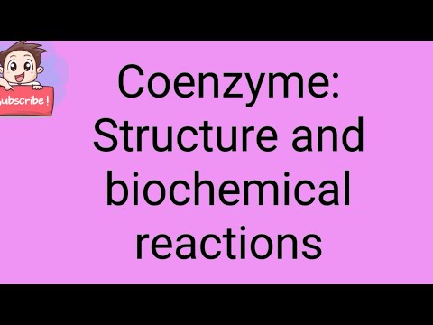 Coenzyme: Structure and biochemical functions