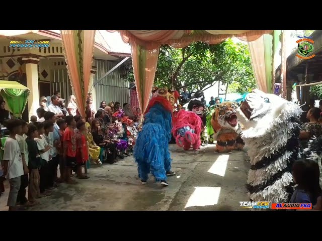 AKTRAKSI BARONGSAI - RAGGA JAYA BUDAYA MUNDU TANJUNG BREBES 5 MEI 2024 class=