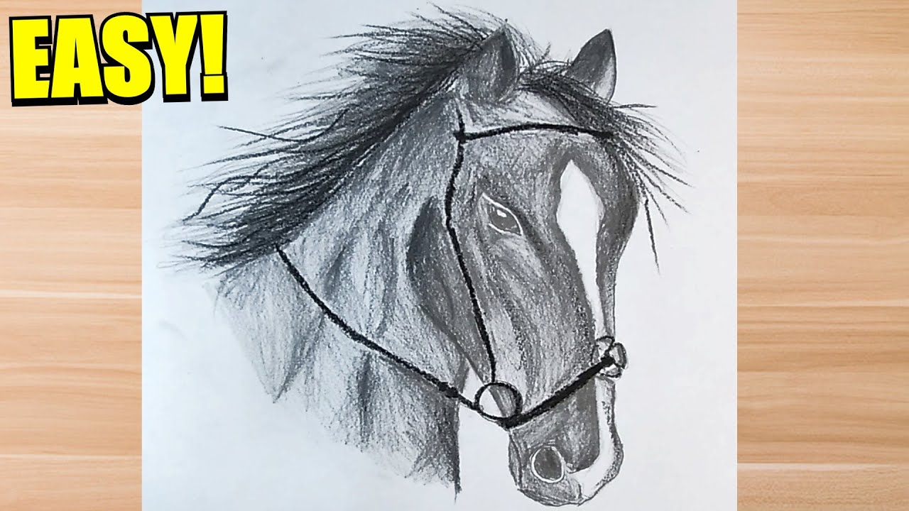 How to Draw a Realistic Horse + Fun Horse Facts!