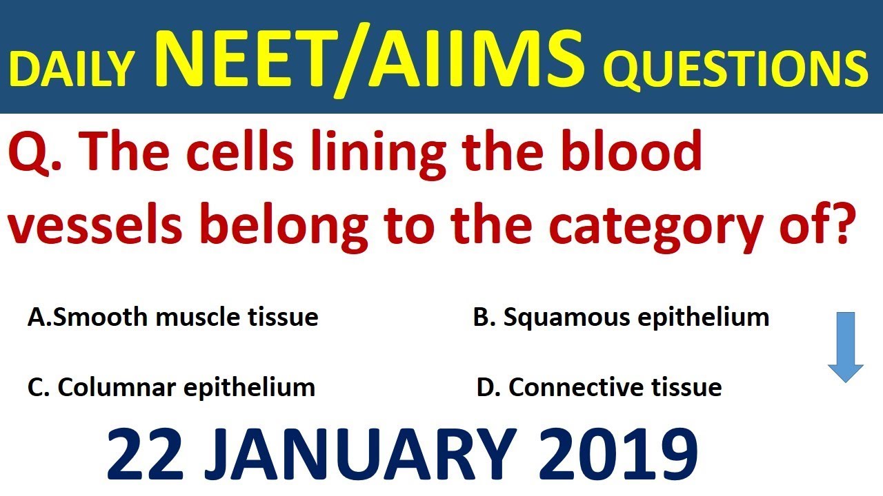 Daily NEET/AIIMS Important Questions 2019 in hindi  - neet important questions 2019 - AIIMS/JIPMER