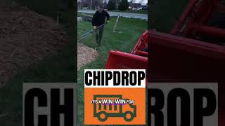 How to Get Free Mulch for Your Yard! 🌱💸 #BudgetLandscaping