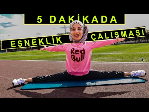 5 DAKİKADA ESNEKLİK ÇALIŞMASI! (Esneklik Arttırmak İçin En Temel Hareketler )