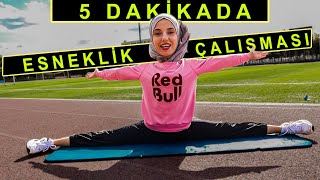 5 DAKİKADA ESNEKLİK ÇALIŞMASI! (Esneklik Arttırmak İçin En Temel Hareketler )