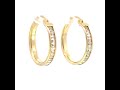 Video: 10Kt Gold Earrings