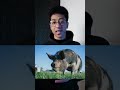 ليه الخنزير مش بيعرف يبص للسما