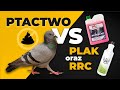 Ptactwo VS PLAK i RRC. Który środek się lepiej sprawdzi? SUPERCAR czy Active Foam Chery