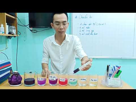 Dung Dịch Làm Quỳ Tím Chuyển Sang Màu Xanh Là - Chất chỉ thị màu tự nhiên từ bắp cải tím