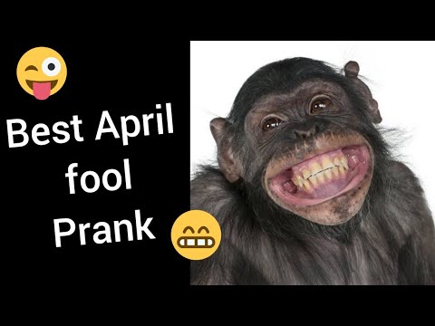 April Fool Status Video| Funny Status Video 2021 April 1st fools day status