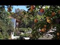 An autumn day in Megalos Prinos (Thassos) / Μια φθινοπωρινή μέρα στο Μεγάλο Πρίνο (Θάσος) – 09/2018