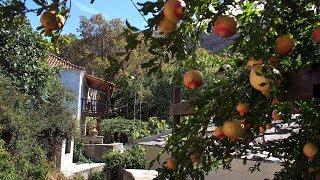 An autumn day in Megalos Prinos (Thassos) / Μια φθινοπωρινή μέρα στο Μεγάλο Πρίνο (Θάσος) – 09/2018