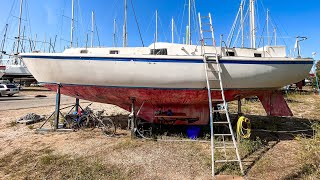 The €1 Boat Project Continues! WINDows, Rotten Decks and Thieves... | SAILING SEABIRD Ep. 23