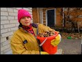 ПОСЫЛКА ОТ Tiki Tex. ЗАЧИСТИЛ ЧЕРДАК. НАЧАЛИ УТЕПЛЯТЬ ГАРАЖ.ИЗ ГОРОДА В ДЕРЕВНЮ 355 серия