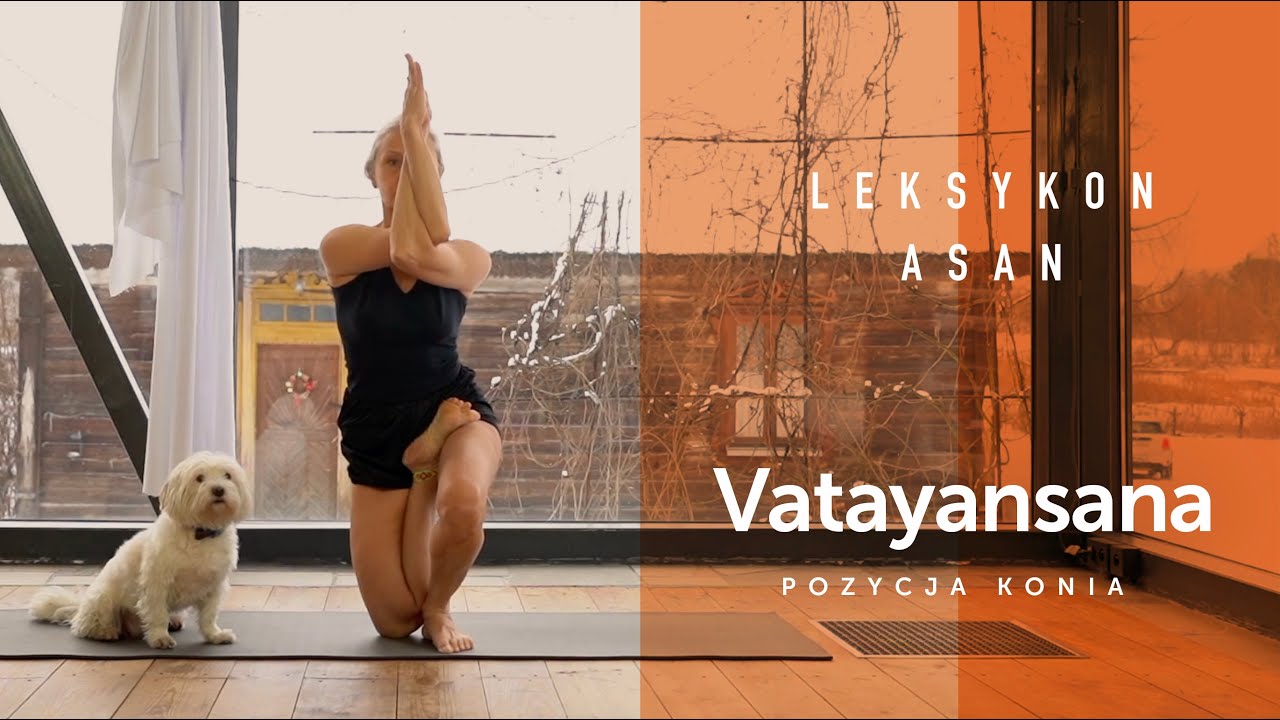 022  VATAYANASANA / Pozycja Konia - odkryj LEKSYKON ASAN VIDEO Joga Foksal