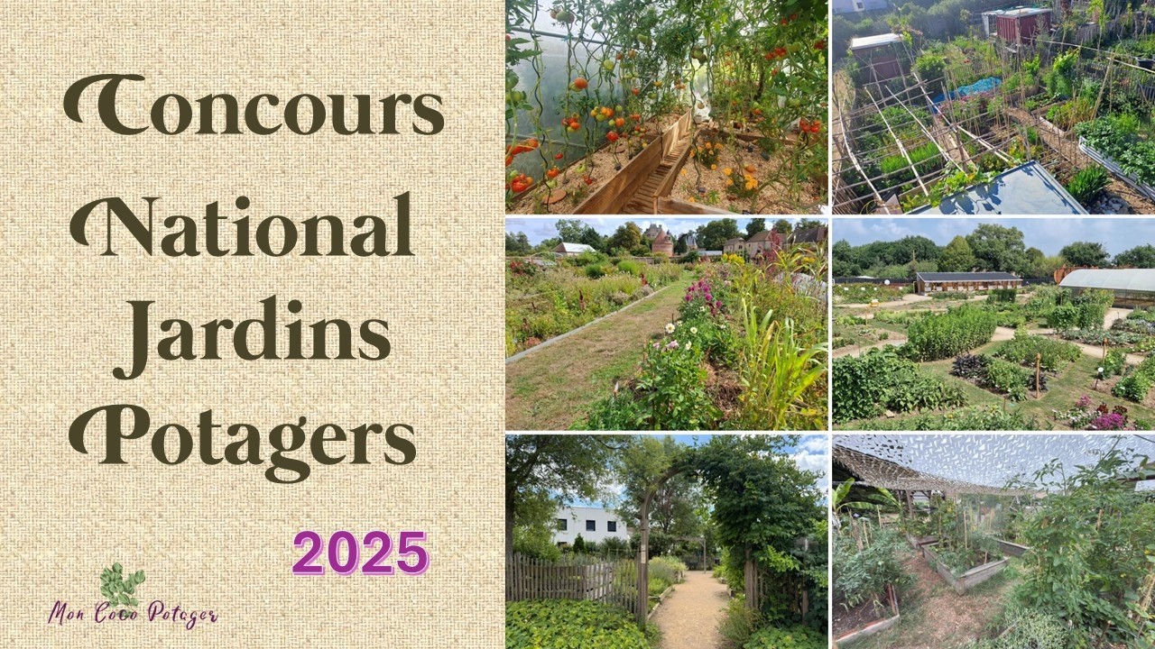 Découvrez les plus beaux jardins potagers du Concours National 2025 !