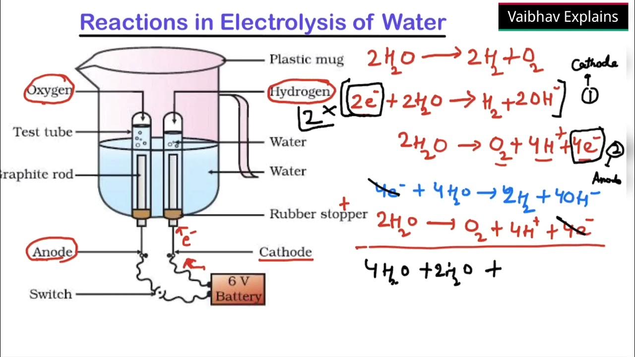 Reactions in Electrolysis of Water | Class 10 | NCERT | CBSE | Chemical
