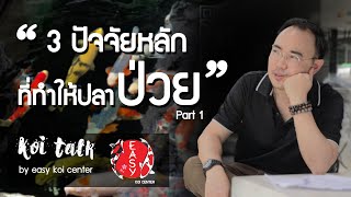 3 ปัจจัยหลักที่ทำให้ปลาคาร์ฟป่วย - Koi Talk EP.54