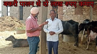 बकरी पालन से दो लाख रुपए कमाए घर पर ||SARDAR_GOAT_FARM