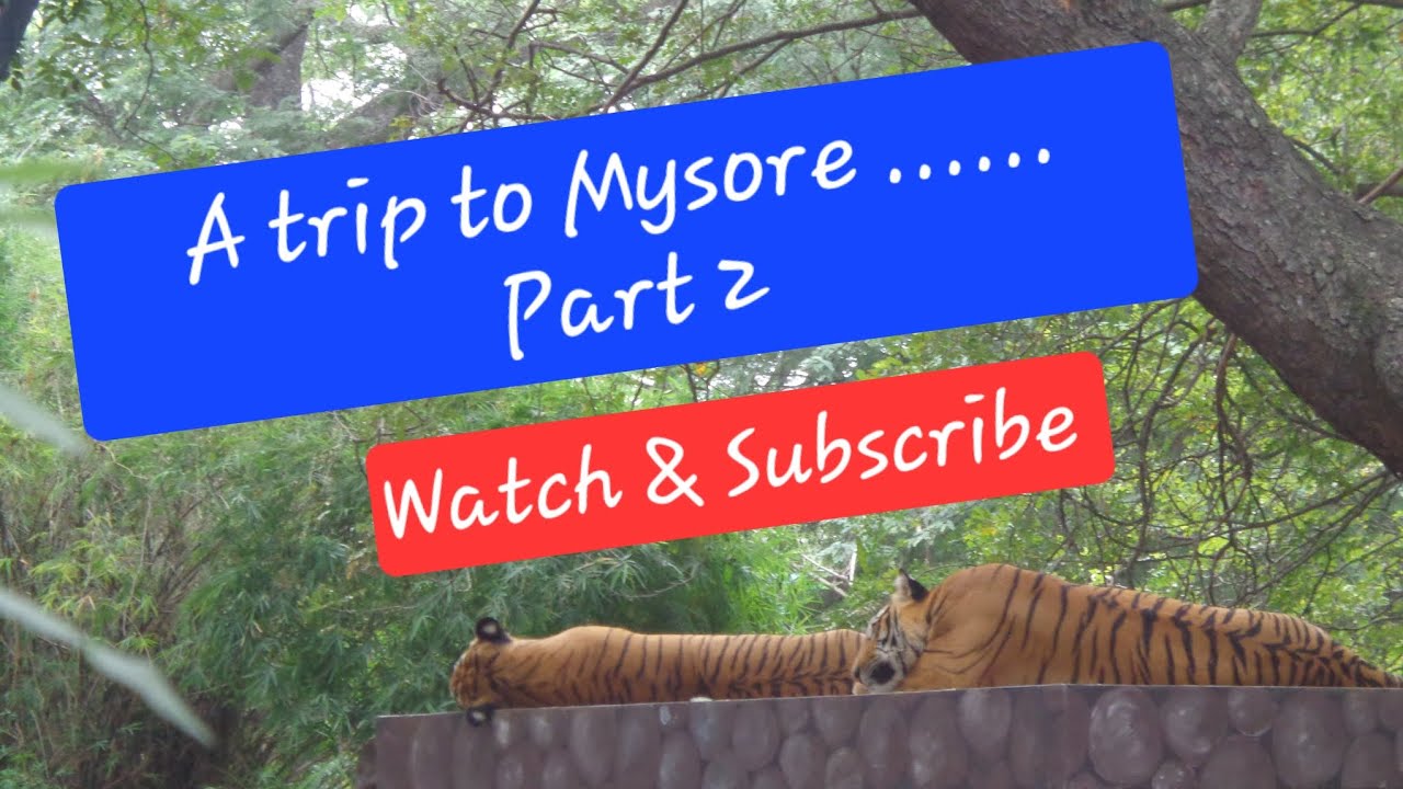 A trip to Mysore....Part 2