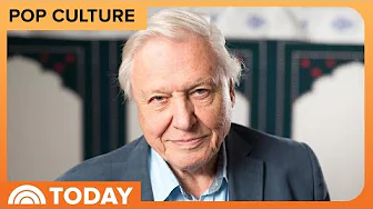 David Attenborough Sets Emmy Record at 99 Years Old