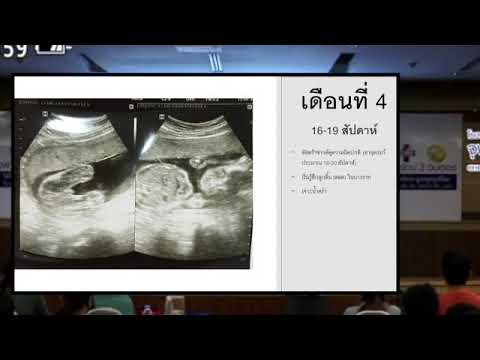 วีดีโอ: สัปดาห์ที่ 16 ของการตั้งครรภ์เป็นอย่างไร