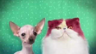 Promo Week W Ren And Stimpy - The Splat 2015