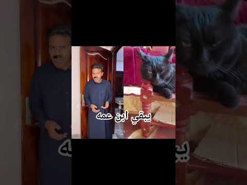 ههههه اضحك معانا وفرفش ودوس اشتراك بسرعه
