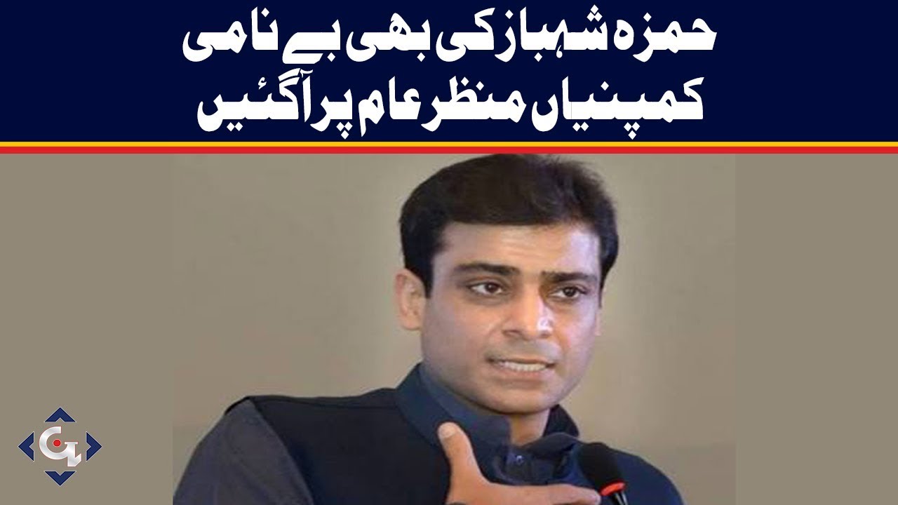 NAB references: Hamza Shahbaz's Cases