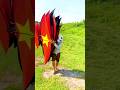 Vietnamese kites | sound bow