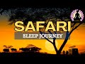 Guided Meditation For Deep Sleep: A Safari To Remember